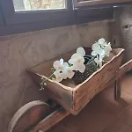 Casa Florina *